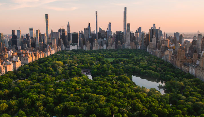 Lead image for article