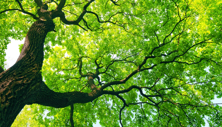 Lead image for article