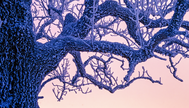 Lead image for article