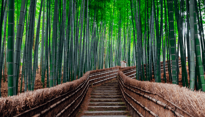 Lead image for article