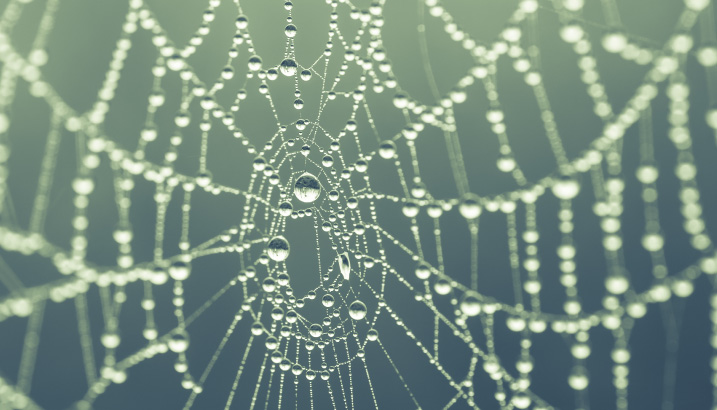 Lead image for article