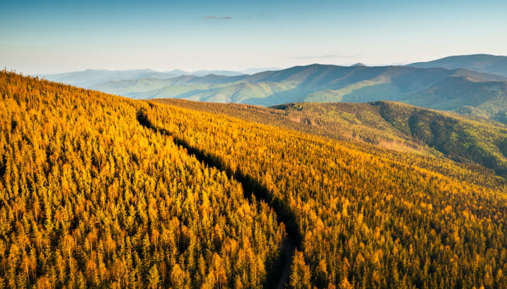 Featured article image
