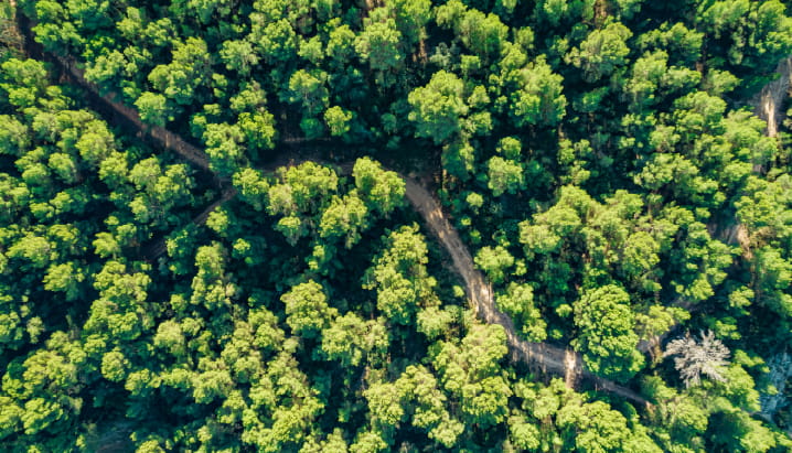 Featured article image