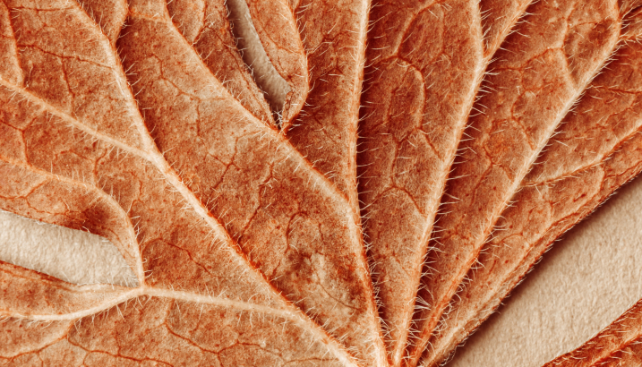 Featured article image
