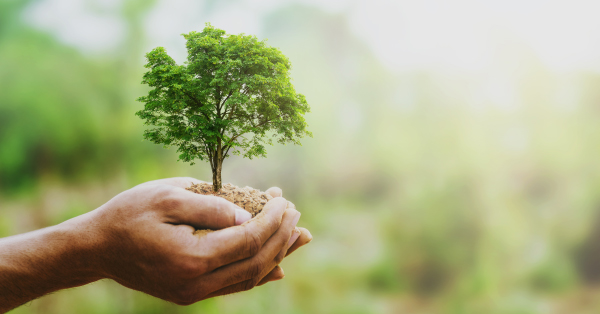 Lead image for article